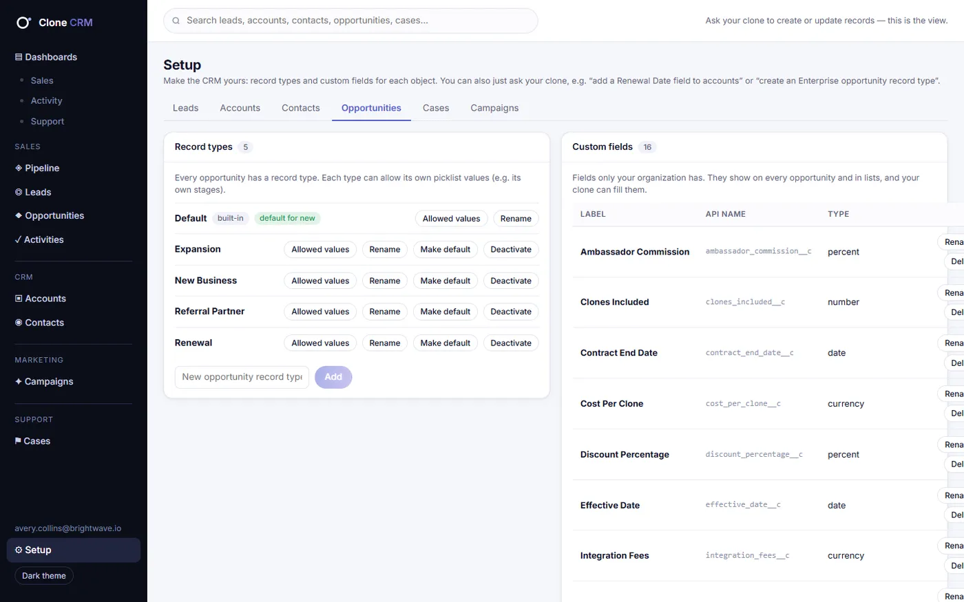 Setup: record types, picklists and custom fields